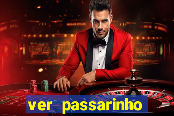 ver passarinho morto significado